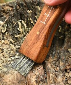 Couteau à Champignon avec Brosse Pliant